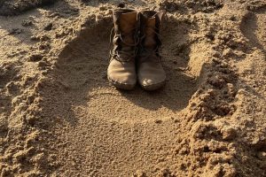 elephant tracks and signs