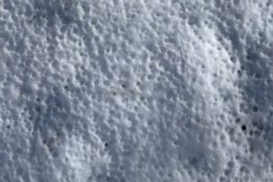 Squirrel tracks