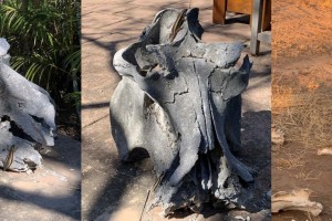 hippo signs