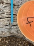 lizard sign
