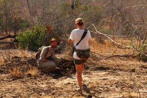 White rhinoceros signs