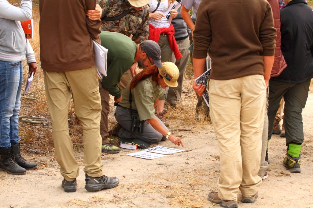 Kersey Lawrence teaches Track and Sign Identification and Interpretation according to the CyberTracker standard to a group of American students in South Africa