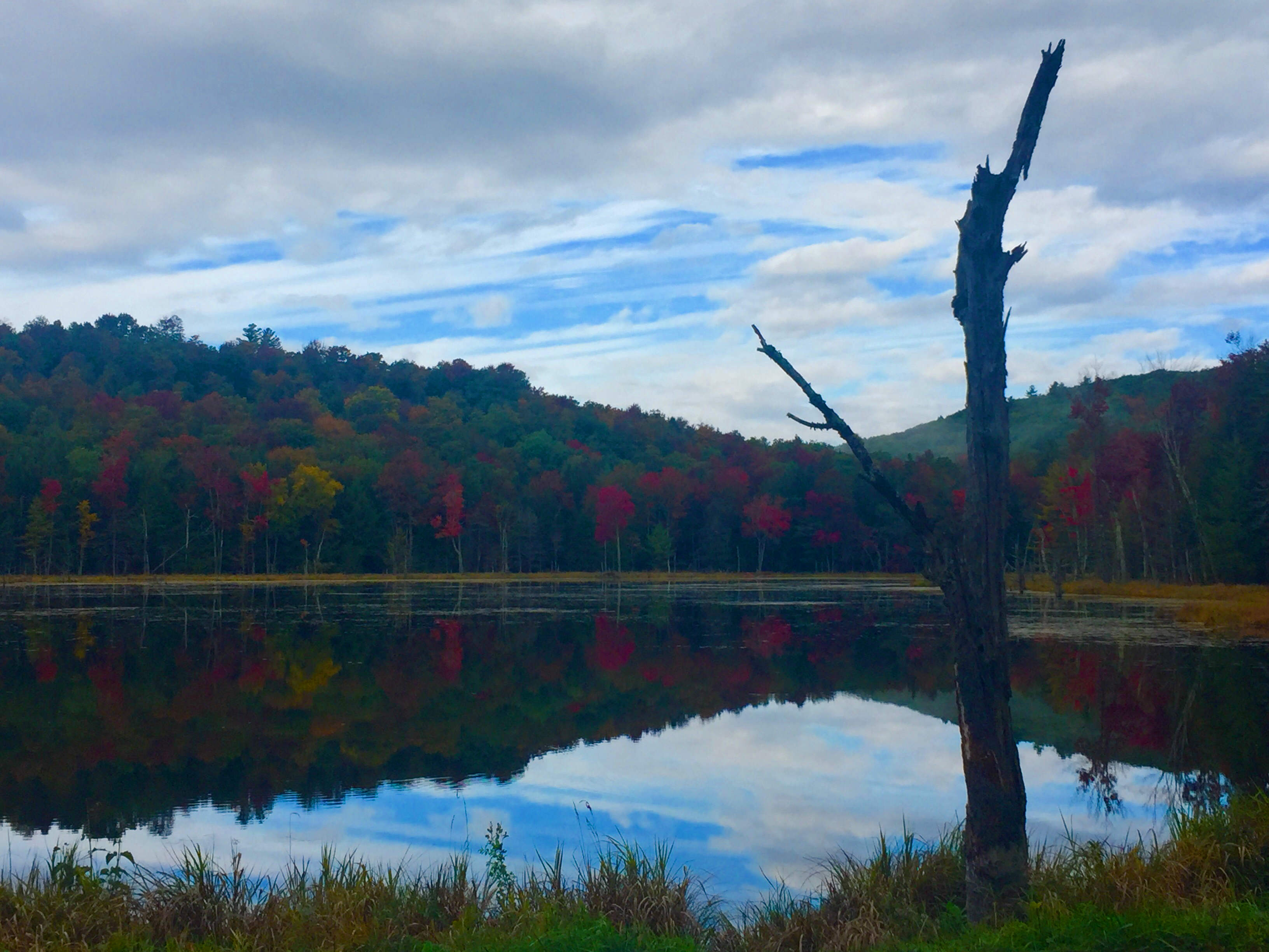 Vermont pond