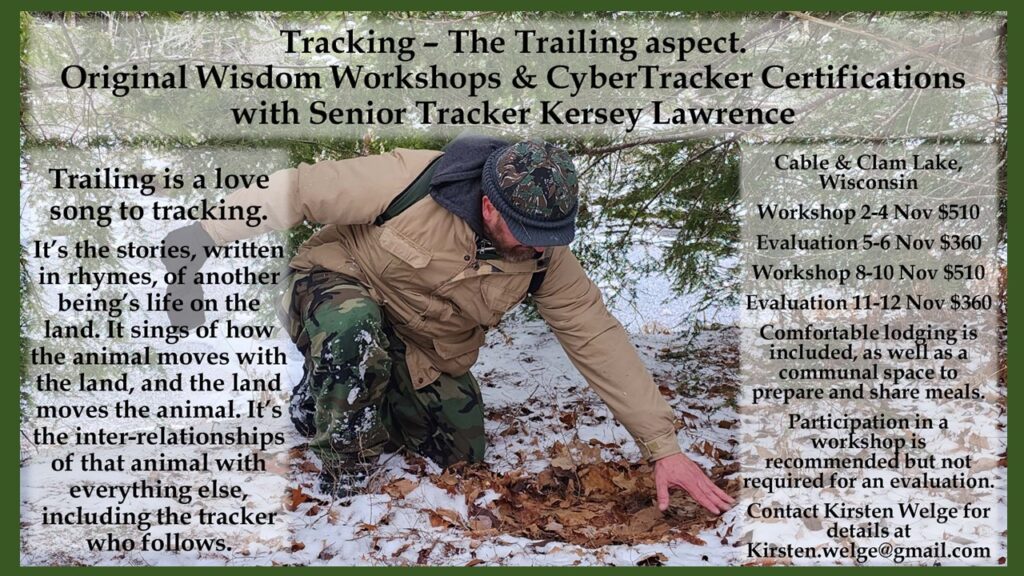 Learn to track wild animals