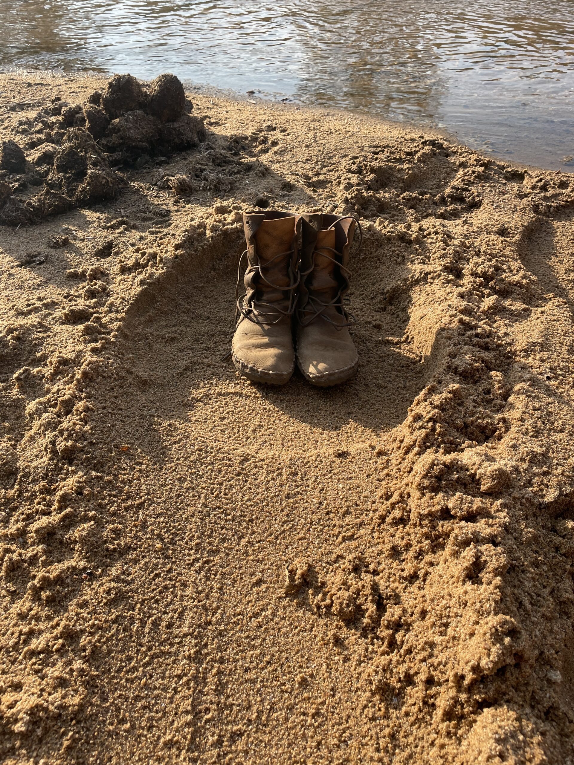 elephant track and scat by water, Greater Kruger area, South Africa, mammal track and sign identification