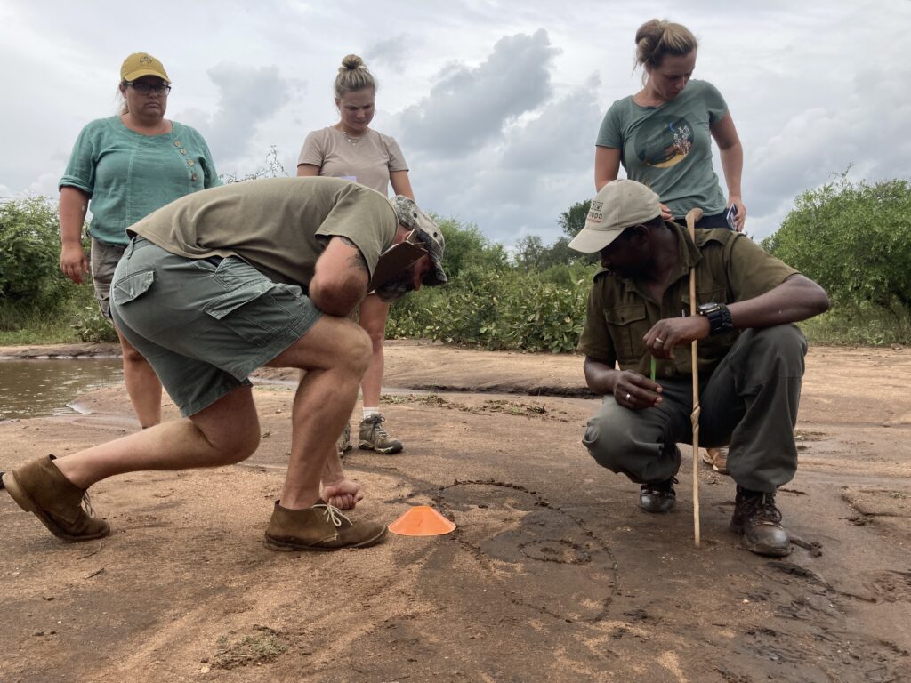 Trackers developing their skills at track and sign identification.